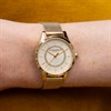 Olivia Burton 24000214 Wonderlust Mesh Bracelet Watch - W28143 Alternative Image