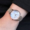 Olivia Burton OB16IQ03 Ice Queen Rose Tone Mesh Watch - W28152 Alternative Image