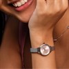 Olivia Burton 24000244 Mini Classic Mesh Bracelet Watch - W28187 Alternative Image