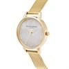 Olivia Burton OB16SE08 Classics Mesh Bracelet Watch - W2892 Alternative Image