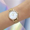 Olivia Burton OB16SE08 Classics Mesh Bracelet Watch - W2892 Alternative Image