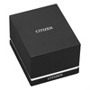 AW2110-14Z Citizen Rolan Pink Dial Brown Eco-Drive Watch - W38500 Alternative Image