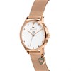 Radley RY4368S Rose Gold Plated Mesh Strap Watch - W51149 Alternative Image