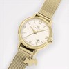 Radley RY4638 Gold Tone Mesh Bracelet Watch - W51468 Alternative Image