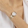 Radley RY4638 Gold Tone Mesh Bracelet Watch - W51468 Alternative Image