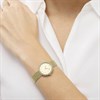 Radley RY4652 Stone Set Mesh Bracelet Watch - W51504 Alternative Image