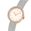 Radley RY4653 Stone Set   Mesh Bracelet Watch - W51505 Alternative Image