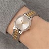 Radley RY4723A Two Tone Silver Dial Bracelet Watch - W51630 Alternative Image
