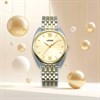 Lorus RH842CX9 Slim Two Tone Bracelet Watch - W58208 Alternative Image