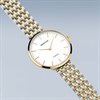 BERING 19334-010 Titanium Two Tone Bracelet Watch - W74203 Alternative Image