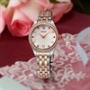 Seiko SUR542P1 Two Tone Bracelet Watch - Special Edition - W7887 Alternative Image