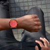 STORM 47513/R Pinnacle Red Mesh Bracelet Watch - W87346 Alternative Image
