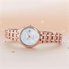 Citizen EW2489-54D Eco-Drive Diamond Set Bracelet Watch - W9168 Alternative Image