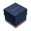 Tommy Hilfiger 1710548 Mesh Bracelet Watch - W95324 Alternative Image