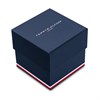 Tommy Hilfiger 1792292 Stainless Steel Blue Dial And Silicone Strap Watch - W95486 Alternative Image
