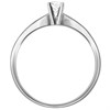 Polar Fire 9ct White Gold Diamond Engagement Ring - 1/3ct - X10022 Alternative Image
