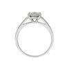 9ct White Gold Diamond Starburst Ring - 47pts - X10330 Alternative Image