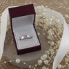 18ct White Gold Beaded Edge Wedding Ring - Size L Only - Z08120 Alternative Image