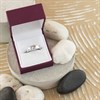 18ct White Gold Banded Wedding Ring - 5mm - Size O Only - Z08295 Alternative Image