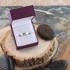 9ct White Gold Two Row Diamond Band Ring - 15pts - Size I Only - Z50456 Alternative Image