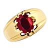 9ct Gold Gentleman's Garnet Signet Ring - EXCLUSIVE - Size L - Z51116 Alternative Image