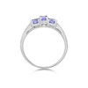 9ct White Gold Diamond And Tanzanite Ring - d7922 Alternative Image