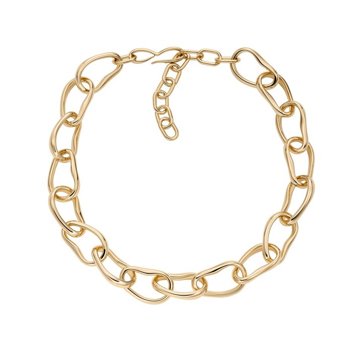 Skagen SKJ5008710 ANYA Pebble Gold Tone IP Chain Necklace - A70300