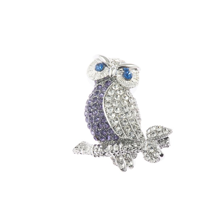 Silver Tone Blue and Purple Stone Owl Brooch - J5416
