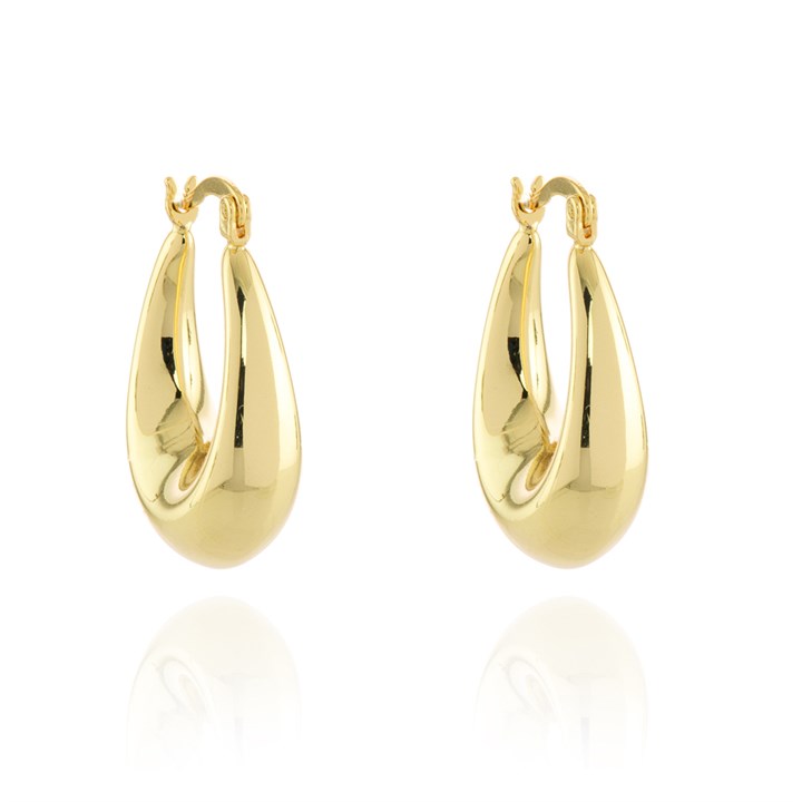 Cachet Gold Tone Berdine Creole Earrings - J74246