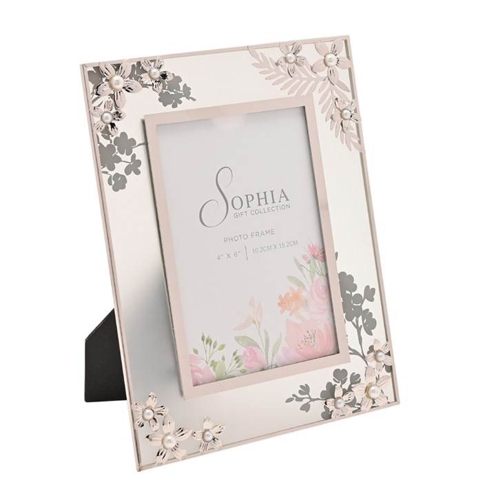 SP3505F46 Sophia Daisy Glass And Metal Photo Frame - P88106