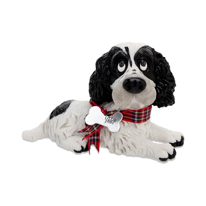 Guinness Cocker Spaniel - P99148