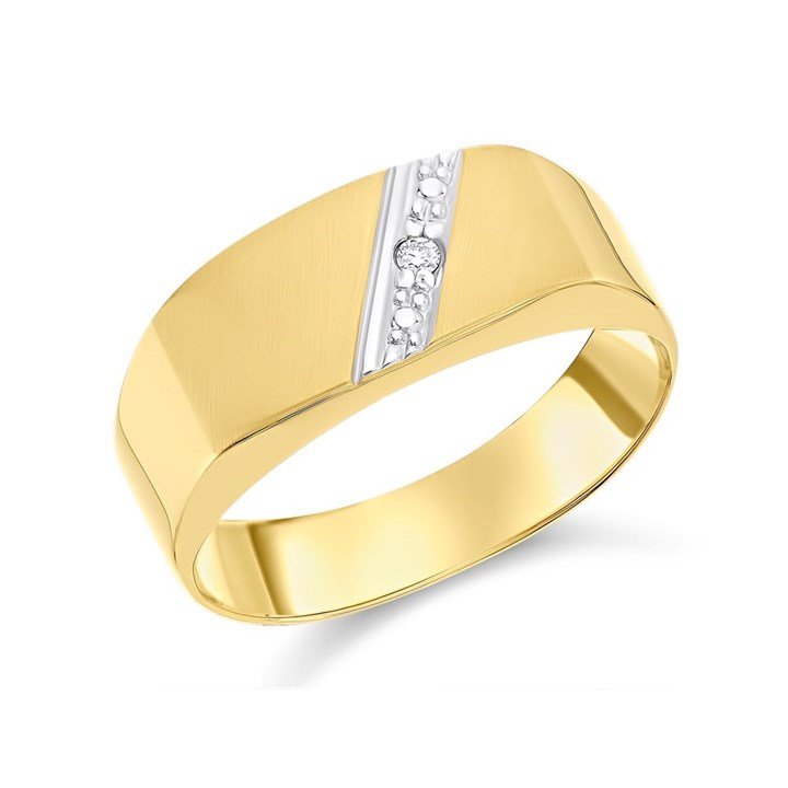 9ct Gold Two Colour Gentleman's Diamond Signet Ring - R4060