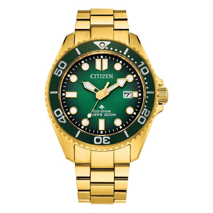 Citizen Promaster BN0262-59W Gold Tone Diver's Watch - W38443