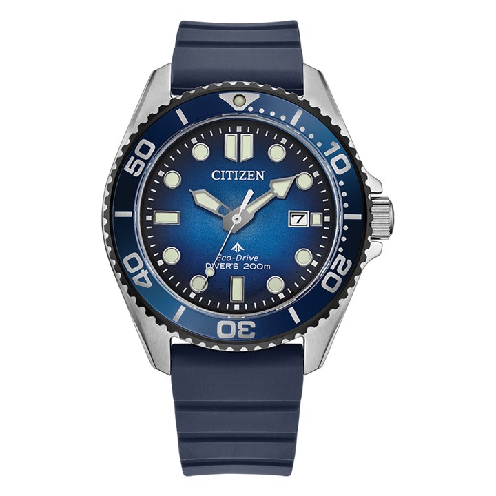 Citizen Promaster BN0267-04L Diver's Watch - W38497