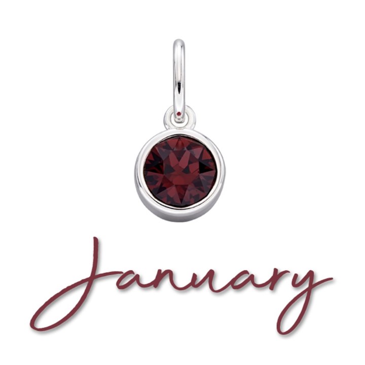 Silver Dark Red Cubic Zirconia Birthstone Charm - January - Z4201