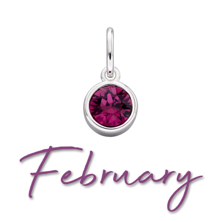 Silver Purple Cubic Zirconia Birthstone Charm - February - Z4202