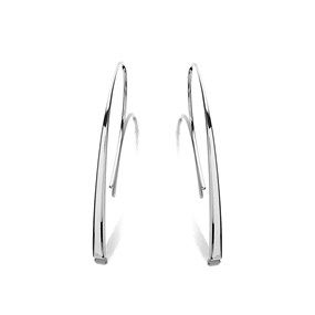 Fossil JF01702040 Steel Wire Hook Wire Earrings - J49236