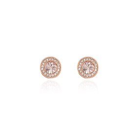 Cachet Chikle Rose Tone Cubic Zirconia Stud Earrings - J74145