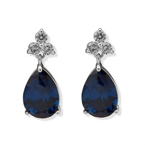 Anne Klein Blue Crystal Drop Earrings - J78334