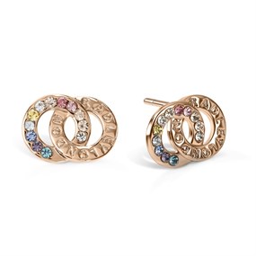 Radley RYJ1146S Rose Tone Multi Coloured Stud Earrings - J81917