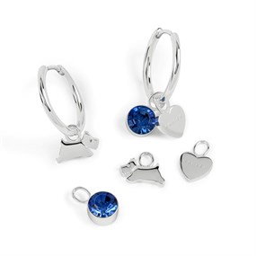 Radley RYJ1545S Silver Tone Hoop Earrings And Charm Set - J81957