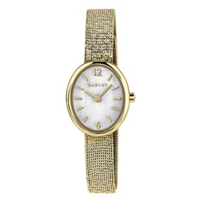 Radley RY4662 Gold Tone Mesh Bracelet Watch - W51543
