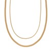 Skagen SKJ1600710 Gold Tone Double Necklace - A70263