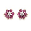 9ct Gold Diamond And Ruby Stud Earrings - D5477