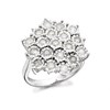 9ct White Gold 1 Carat Diamond Cluster Ring - D7209