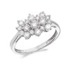 9ct White Gold 1 Carat Diamond Cluster Ring - D7289