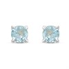 Silver Blue Topaz Stud Earrings - F04258