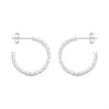 Silver Twist Wire Earrings - 20mm - F10016