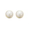 9ct Gold Two Colour Freshwater Pearl Stud Earrings - 8mm - G0530