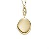 Fossil JF04426710 Yellow IP Stainless Steel Locket - J49321